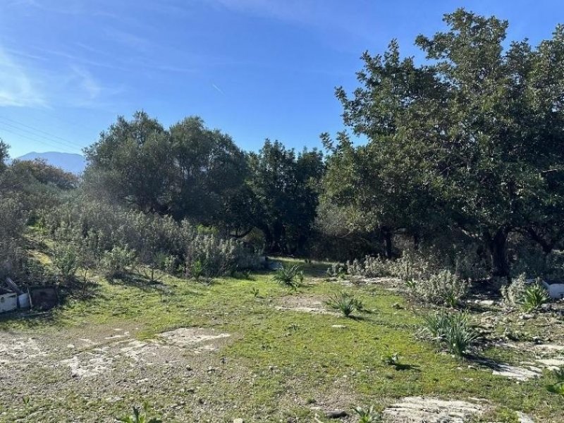 Episkopi bei Rethymno Kreta, Episkopi: Neubau-Projekt! Fabelhafte Villa mit Pool und Meerblick zu verkaufen Haus kaufen